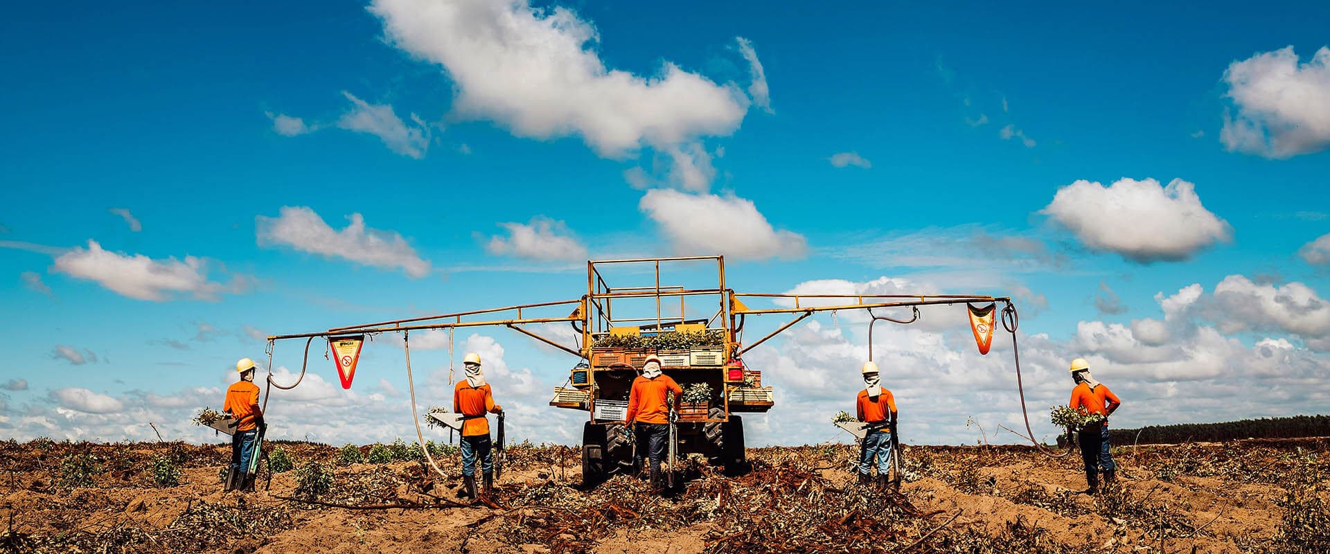 Planting crew in the field