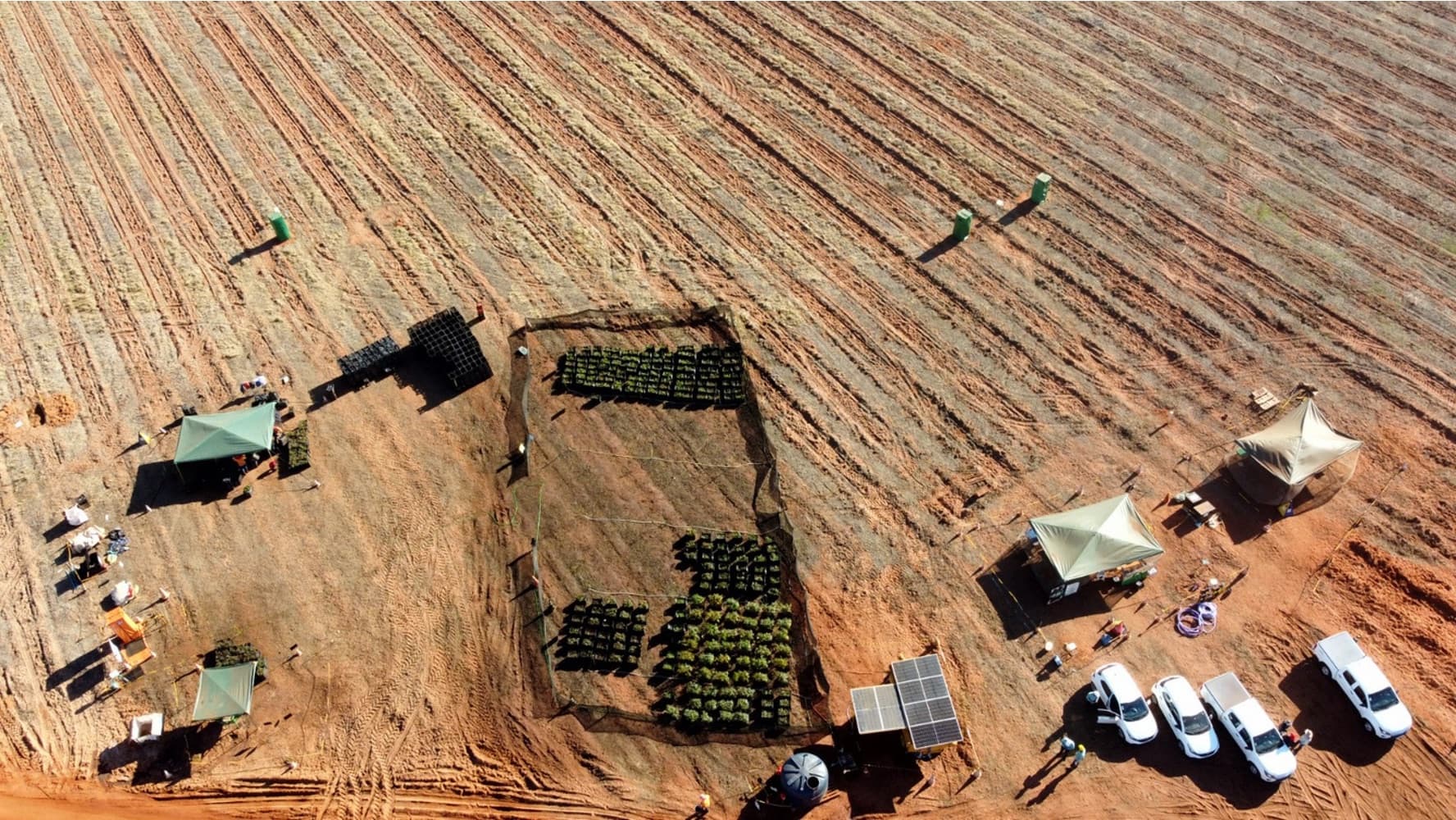 Vista aérea del vivero de espera autónomo de Emflora montado en campo, con plantas bajo malla de sombra y la unidad solar de riego