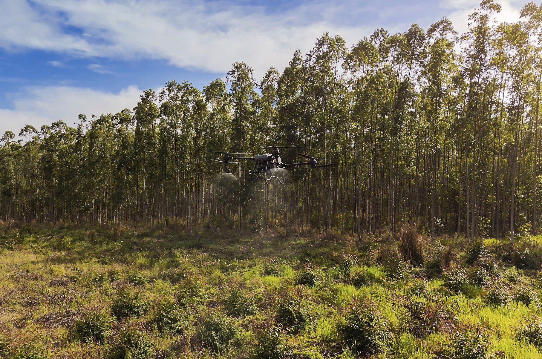 Spray drone over a eucalyptus forest
