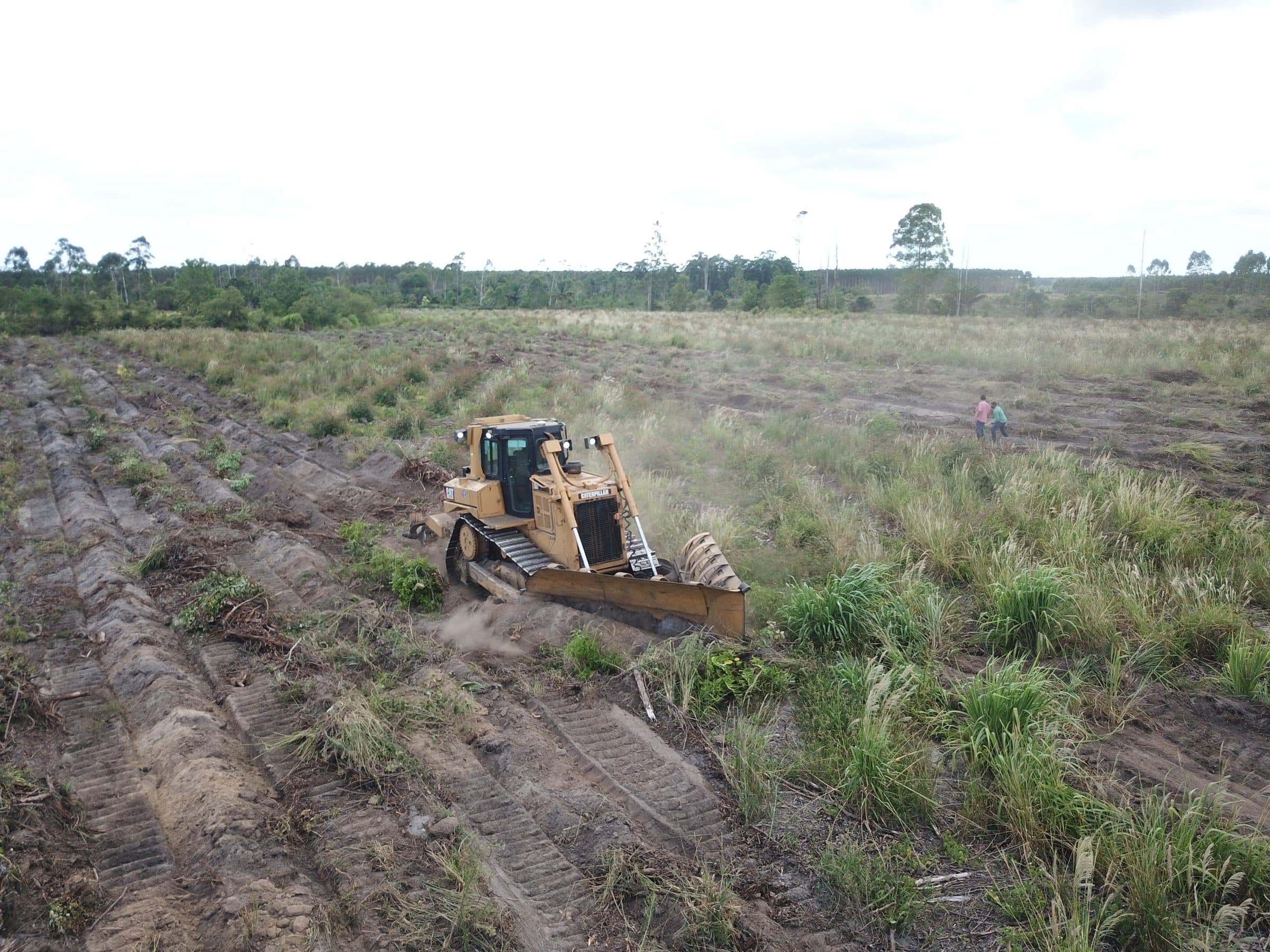 Mechanized subsoiling during soil preparation
