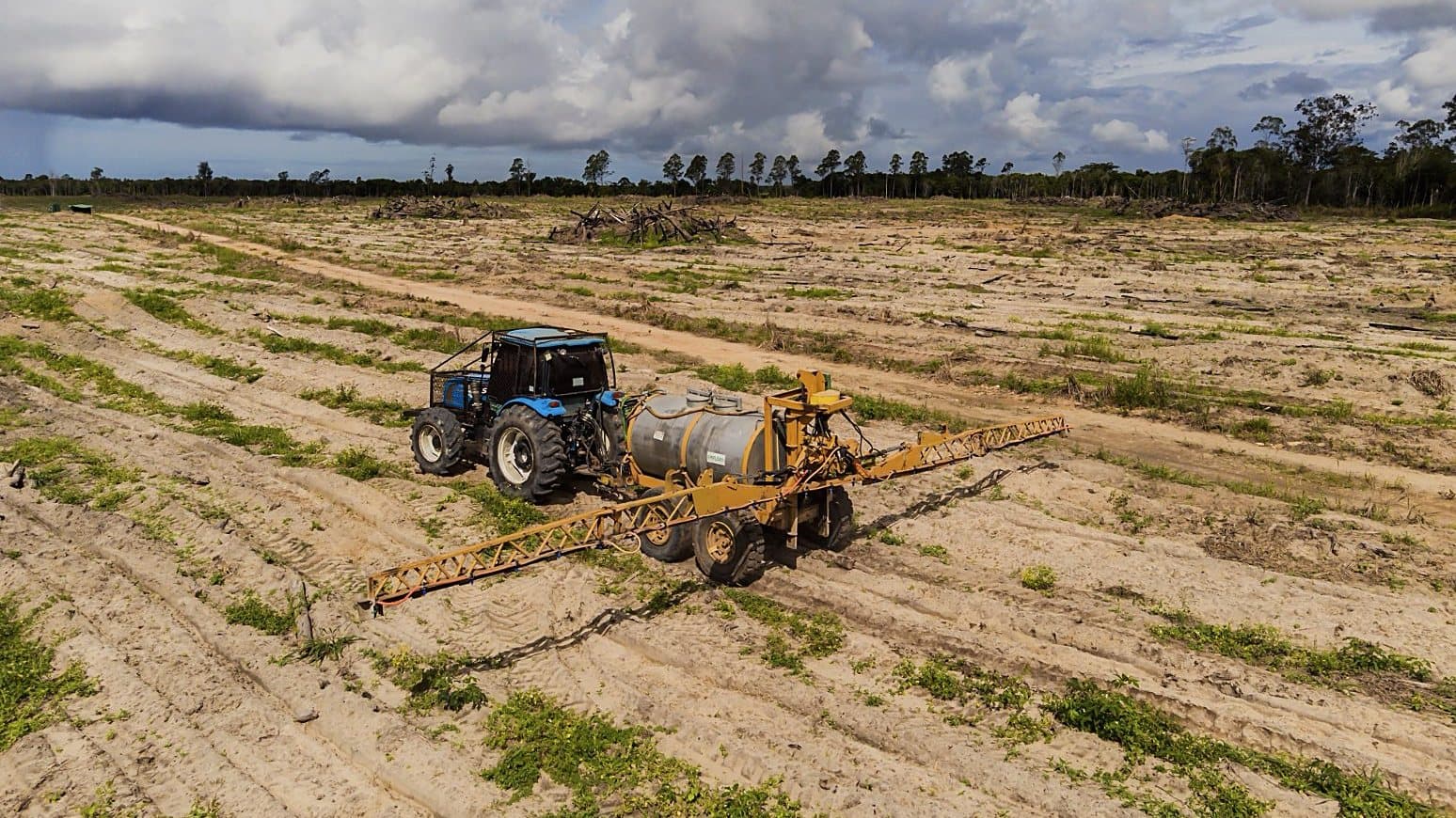 Tractor with sprayer in a planting area