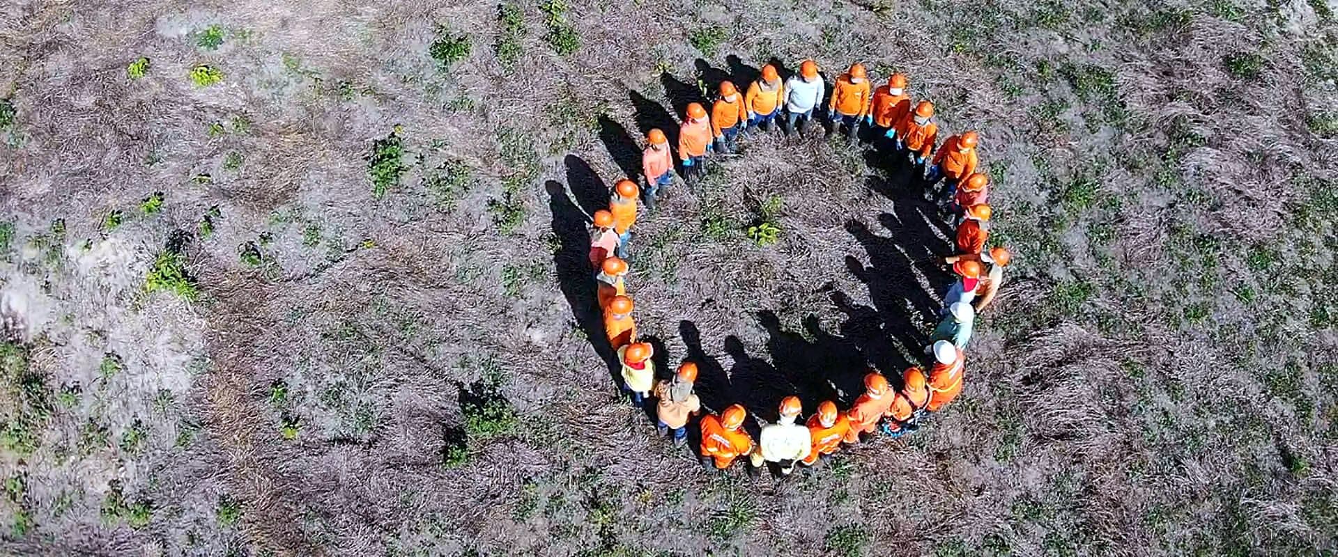 Emflora team gathered in a circle, seen from a drone